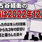 古谷経衡の離婚は2022年12月!離婚後の3年を共にした猫3匹の名前とは